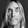 Portrait de Iggy Pop