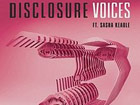 Disclosure - Voices