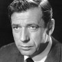 Portrait de Yves Montand